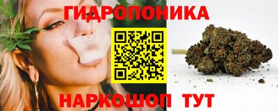 тгк Славгород