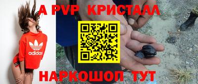 тгк Славгород