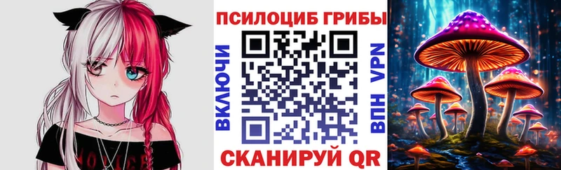 Псилоцибиновые грибы Psilocybe  Новоуральск 
