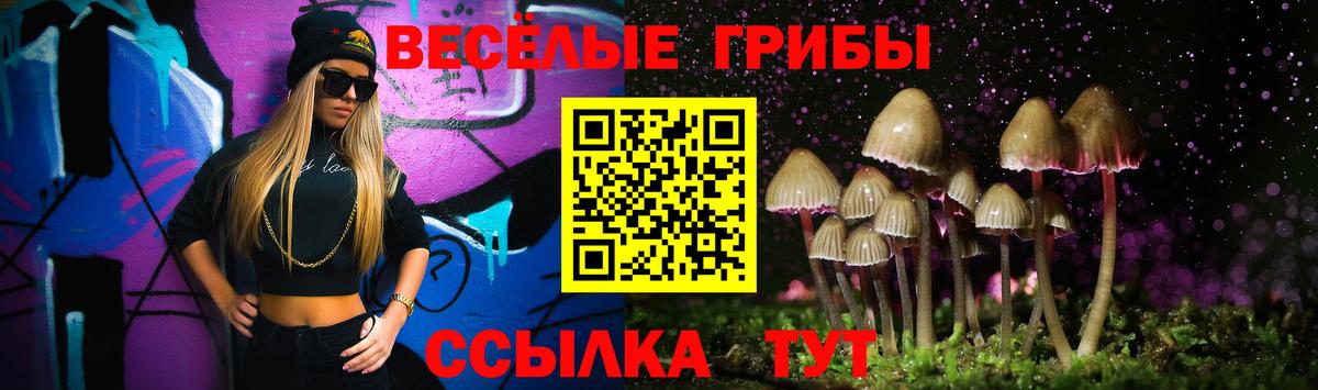 Псилоцибиновые грибы MAGIC MUSHROOMS  Вход с VPN  Новоуральск  что такое   Псилоцибиновые грибы GOLDEN TEACHER 